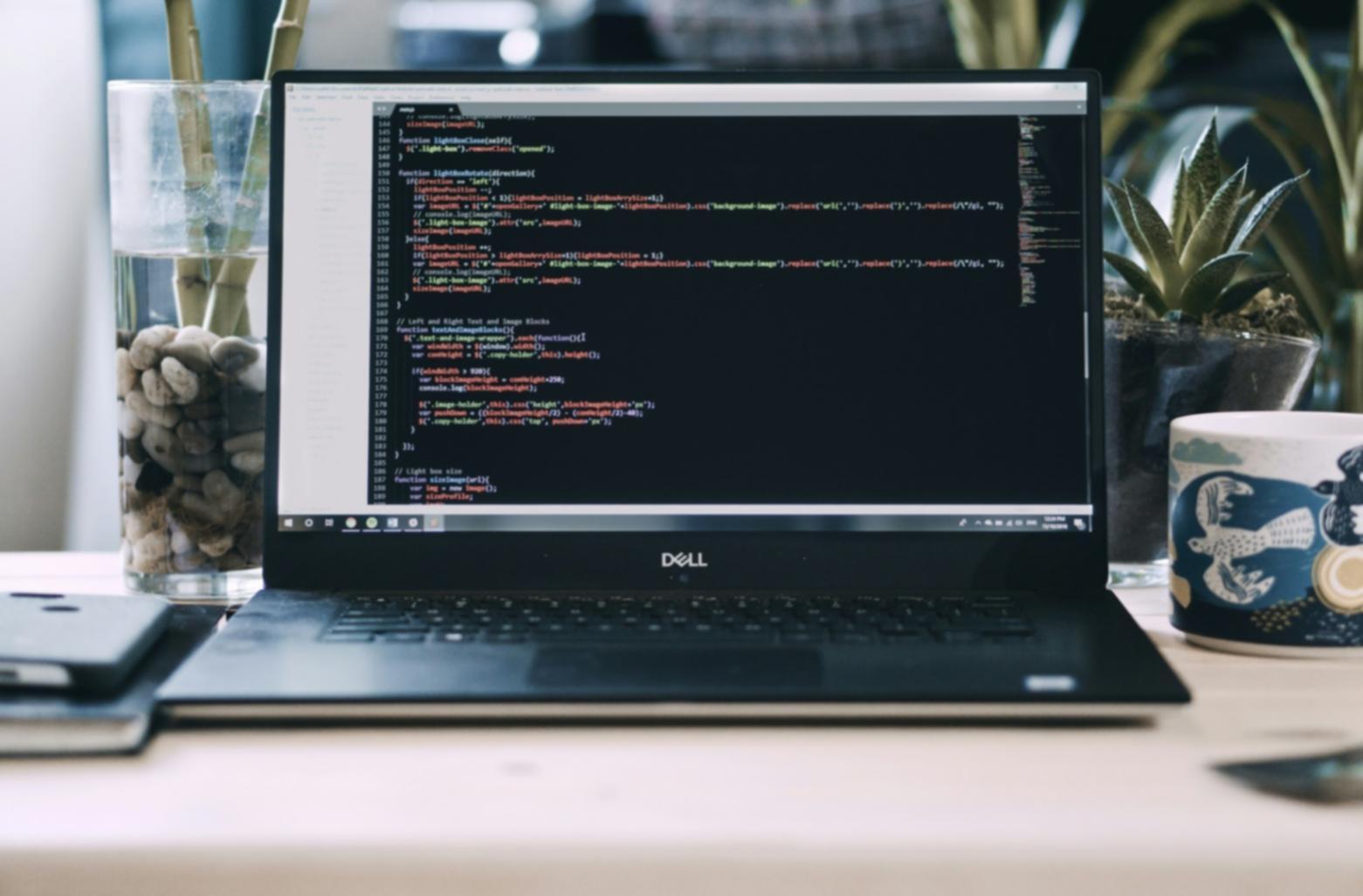 Teilnehmer beim praktischen Training